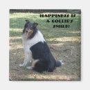 Search for herding dog magnets Rough