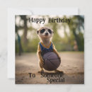 Search for meerkat birthday cards Funny