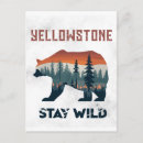 Search for grizzly bear postcards Retro
