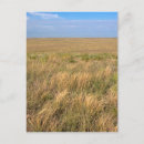 Search for grasslands postcards Landscape
