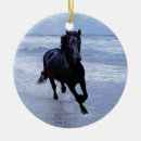 Search for sea christmas tree decorations Horse
