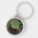 Search for determined accessories Green