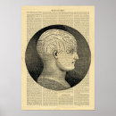 Search for phrenology head posters Human