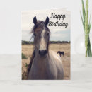 Search for ponies note cards Horse