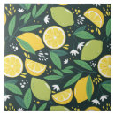 Search for fruit tiles Citrus