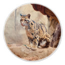 Search for cat knobs and pulls Jungle