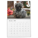 Search for chicken calendars Chicks