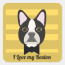 Search for boston terrier stickers Black and white