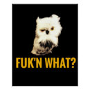 Search for funny owl posters Geek