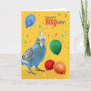 Search for funny bird birthday cards Birds