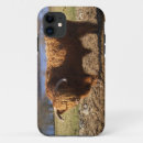 Search for highland cattle iphone cases Animal