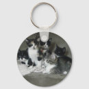 Search for too key rings White