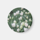 Search for ladybug magnets Anniversary