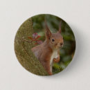 Search for mischievous accessories Animals