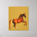 Search for arabians canvas prints Chestnut
