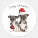 Search for chihuahua puppy stickers Animal