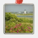 Search for marthas vineyard christmas tree decorations United states