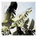 Search for banana leaf posters Jungle