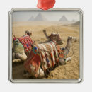 Search for camel christmas decor Traditional