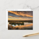 Search for coyote postcards Landscape