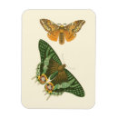 Search for bordered magnets Nature