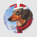 Search for dachshund memorial gifts Dog