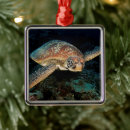 Search for sea turtle christmas tree decorations Sealife