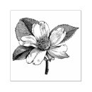 Search for flowers rubber stamps Blossom