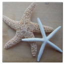Search for starfish tiles Decorative