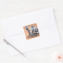 Search for ring tailed lemur stickers Animals