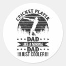 Search for cricket bat stickers Sixer