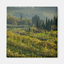 Search for vineyard magnets Farm