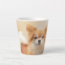 Search for long haired chihuahua mugs Puppy