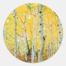 Search for autumn tree stickers Bright