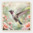 Search for hummingbird art stickers Watercolor