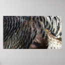 Search for wild designs posters Nature
