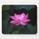 Search for lotus flower mouse mats Water lily