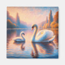 Search for cygnet magnets Cute