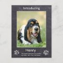 Search for new puppy announcement postcards For pets