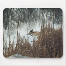 Search for solstice mouse mats Nature