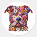 Search for pitbull dog stickers Puppy