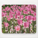 Search for october electronics Flowers