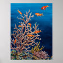 Search for goldfish posters Ocean
