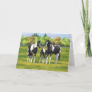 Search for foal cards Quarter horse