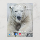 Search for white bear postcards Funny