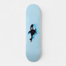 Search for killer whale skateboards Nature