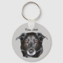 Search for black labrador retriever key rings Pet