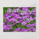 Search for thinking of you postcards Pretty