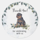 Search for rotty stickers Puppy