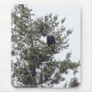Search for bald eagle mouse mats Tree